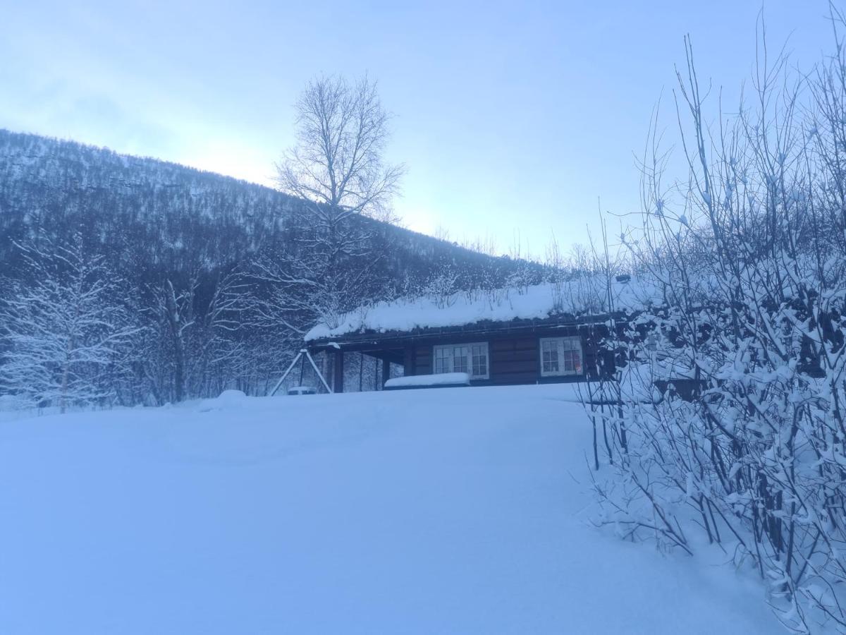 Sunndalsfjord Fredsvik Meisalstranda 455,506 Og 508