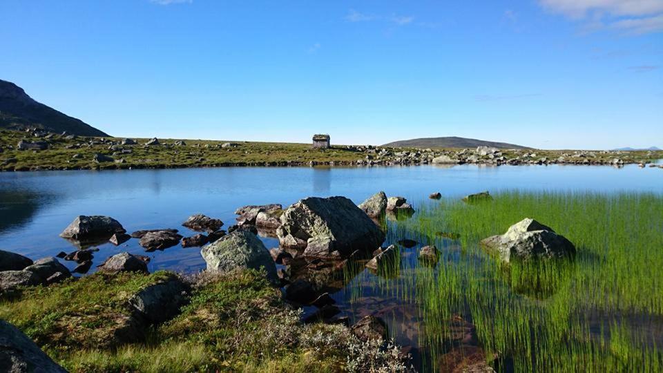 Sunndalsfjord Fredsvik Meisalstranda 455,506 Og 508